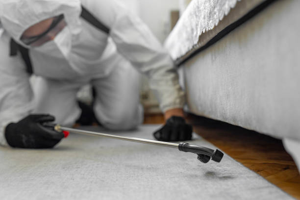 Professional Bed Bug Control technician working in Lolo, MT